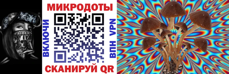Купить закладки Фурманов Псилоцибиновые грибы Cubensis
